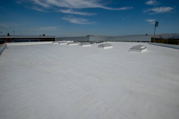 Best Skylight Installation and Repair  in Avondale, PA
