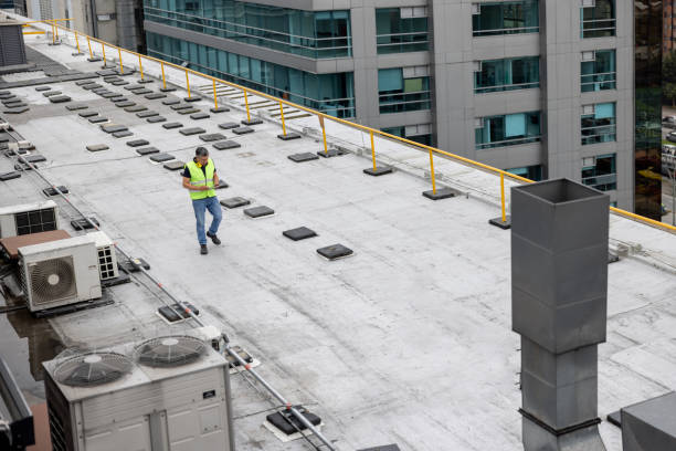 Best Asphalt Shingles Roofing  in Avondale, PA