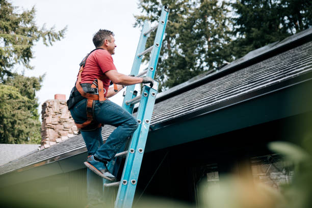 Best Siding  in Avondale, PA